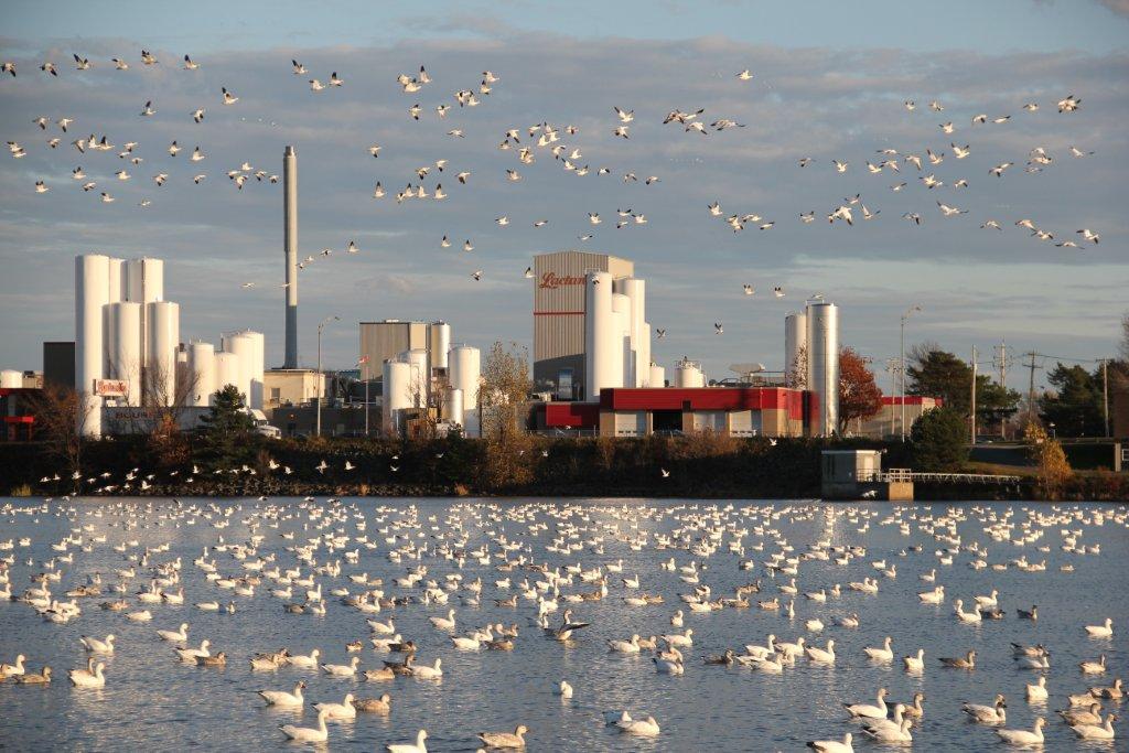 Victoriaville en images — URBANIA