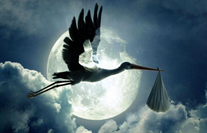 rencontre millionnaire celibataire quebec